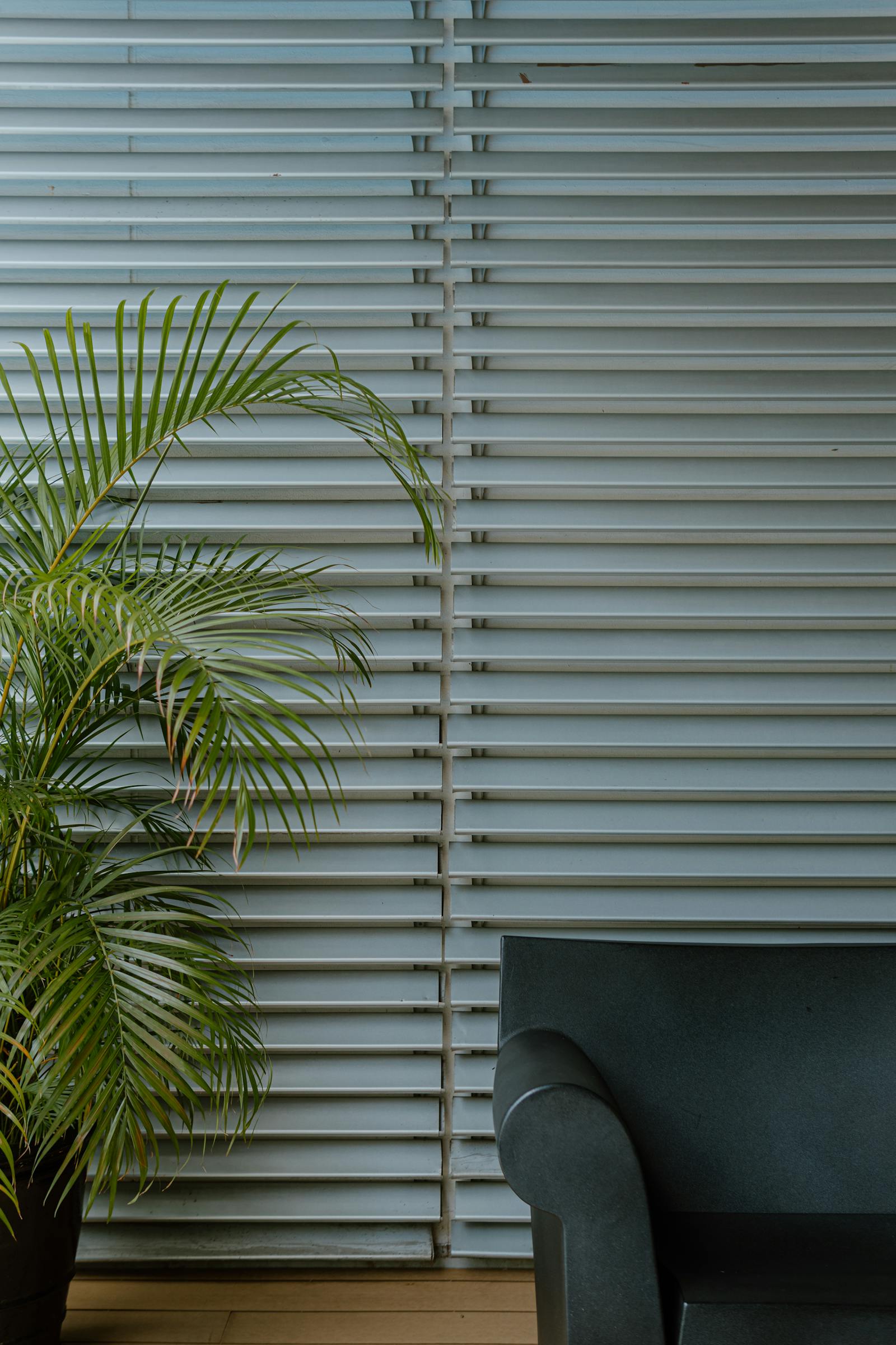 Decorative interior with blinds and plants